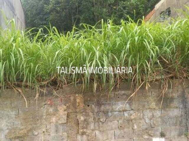 #TE006 - Terreno para Venda em Taboão da Serra - SP - 2